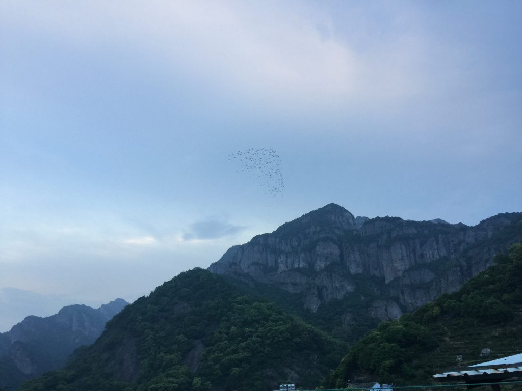 杭州和雁荡山游记